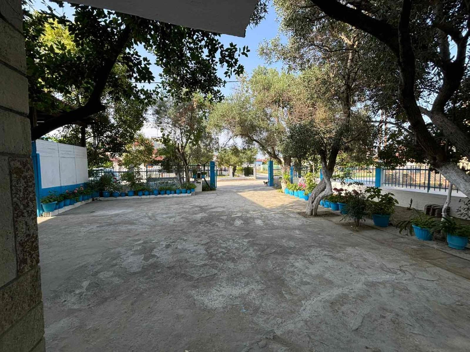 Island Apartments Nea Vrasna Bagian luar foto