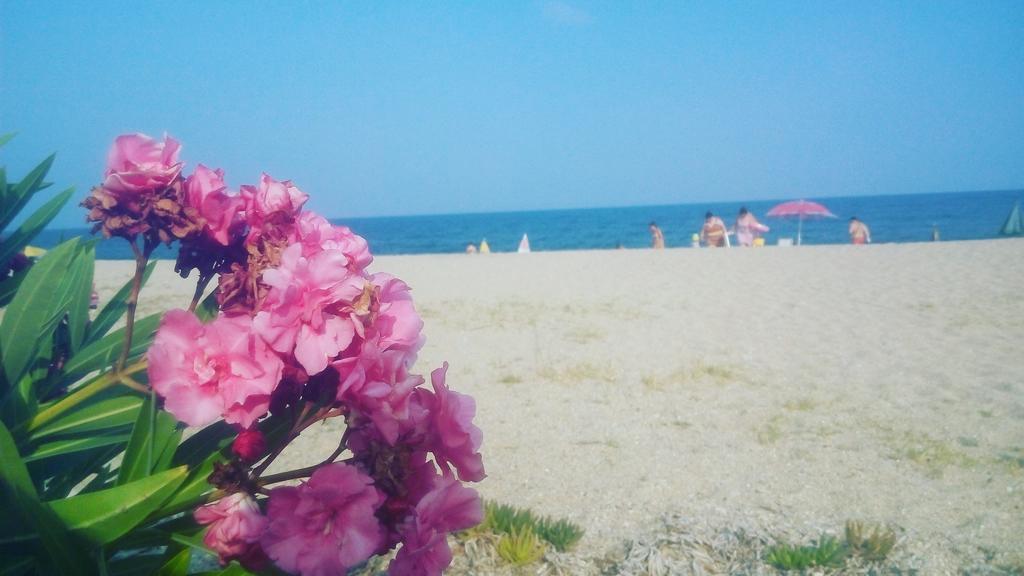 Island Apartments Nea Vrasna Bagian luar foto